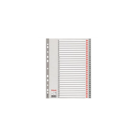 Regiszter A4, 1-31 műanyag Esselte szürke